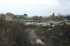 2001-oktoberi-duna-part-forum_23