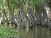 thumbs_321_21